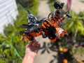 black & orange witch