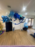 Balloon Garland